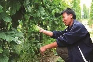 吃瓜阮阮,揭秘娱乐圈背后的故事 第2张 吃瓜阮阮,揭秘娱乐圈背后的故事 第2张